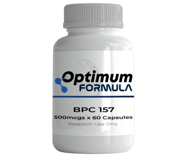 WhatsApp Image 2026-01-26 at 7.38.21 PM