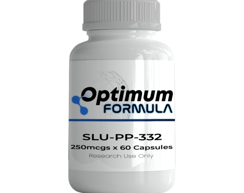 WhatsApp Image 2026-01-26 at 7.39.06 PM